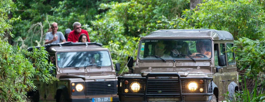 4x4 Cliffs, Valley & Catamaran Tour