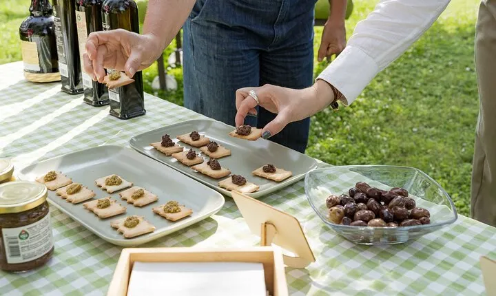 Lake Garda Olive Oil Tour and Tasting Experience
