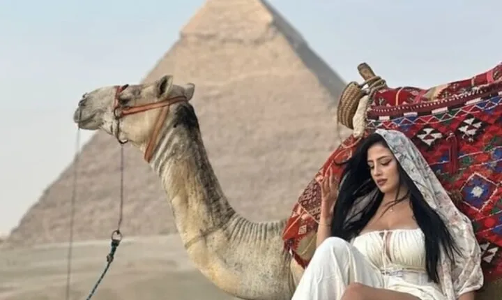 Day Tour to Cairo from Alexandria Port & Hotels included lunch