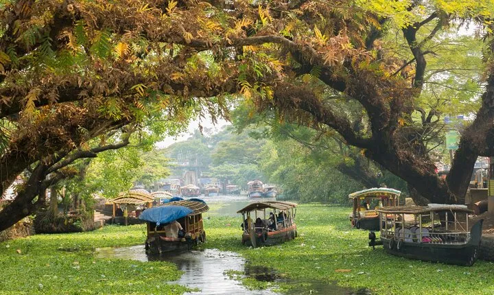 Heritage & Cultural Walk of Alleppey (Guided Walking Tour)