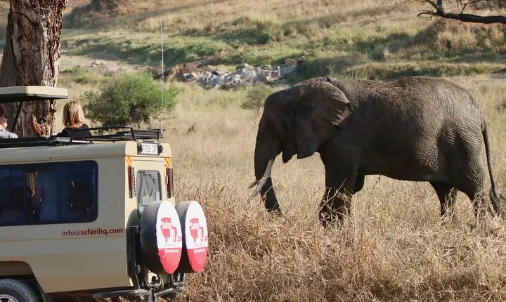 3 Day Serengeti National Park & Ngorongoro Crater Camping Safari