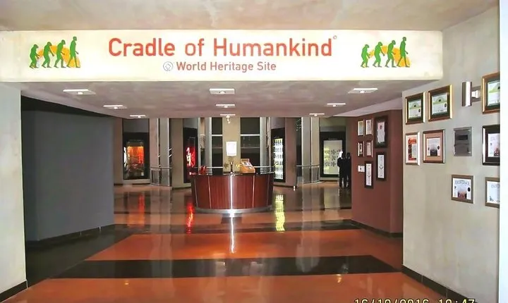 Cradle of Human Kind & Lion & Rhino Park Tour Full day Tour Private