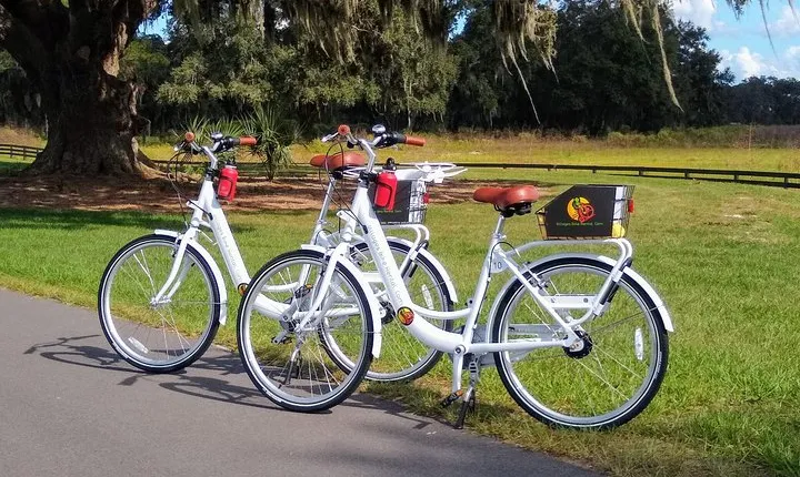 Village Bicycle Rental Free Delivery in The Villages Florida
