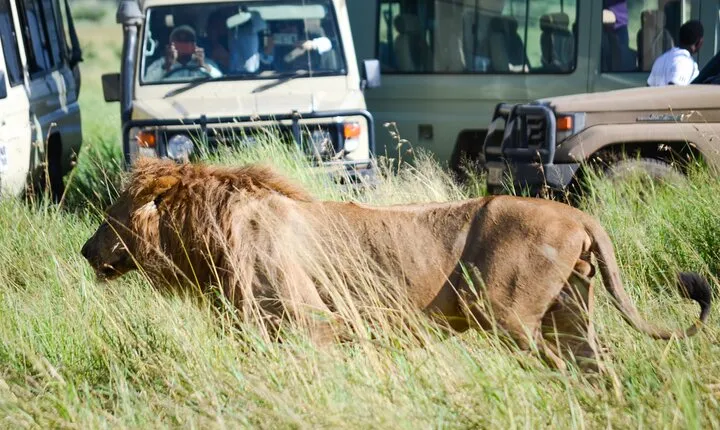 4 Days Tarangire ,Serengeti &Ngorongoro crater group Tour