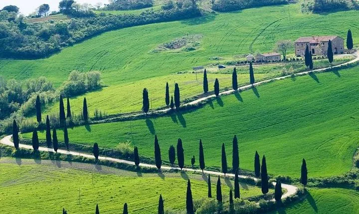 Chianti Hills Tour:Discovering Tuscany's Wine Heart from Florence