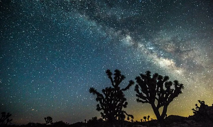 Joshua Tree Private Sunset and Stars Tour