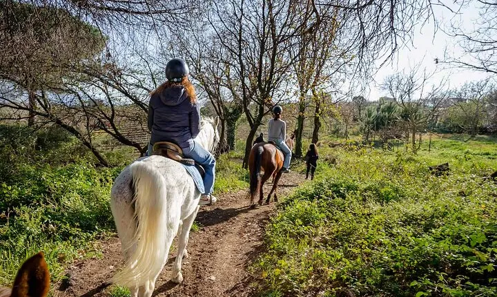 Pompeii Guided Tour & Horse Riding on Vesuvius with Lunch
