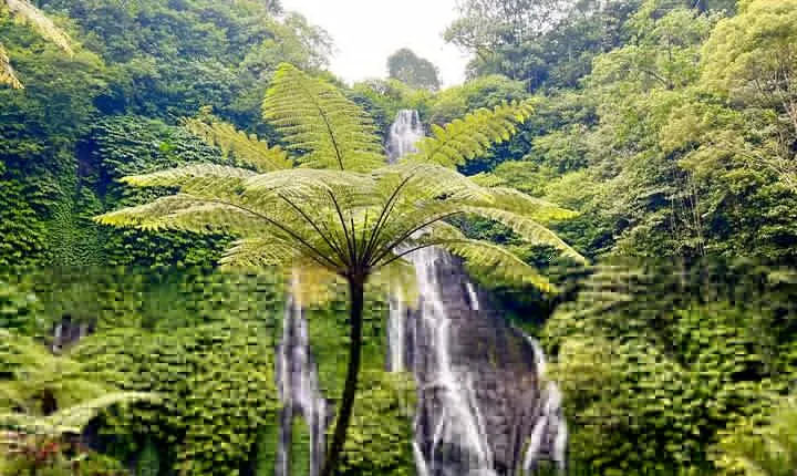 Banyumala Waterfalls with Tanah Lot Sunset Tour