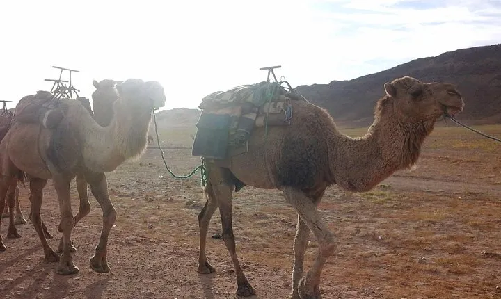 Merzouga desert trip from marrakech
