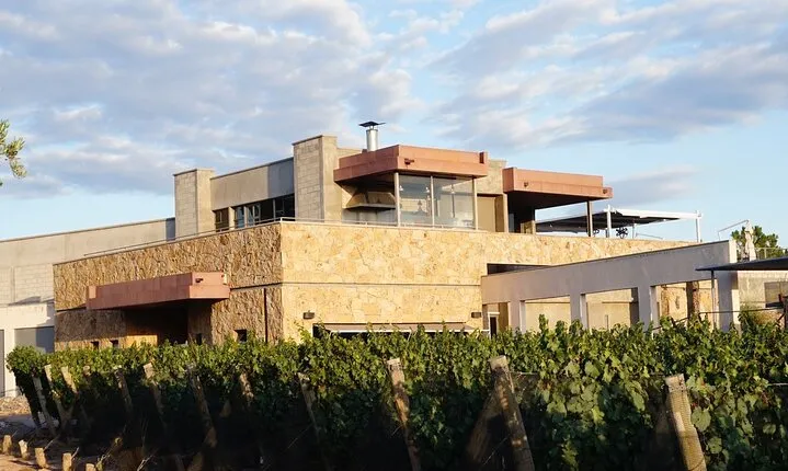 Mendoza Wine Tour with Lunch