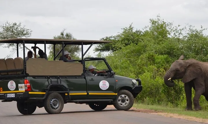 All Inclusive 4 Day Kruger South to Central from Nelspruit