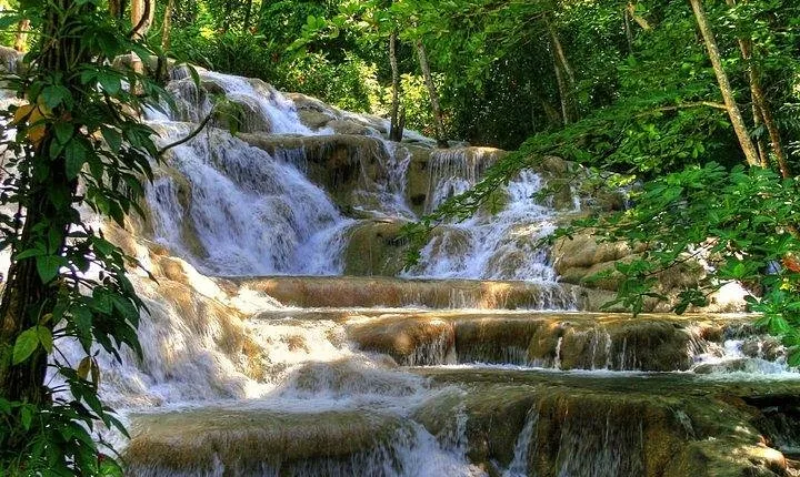 Montego Bay To Dunn's River Transport