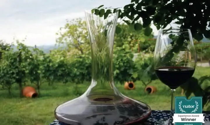 Full Day Private Wine Tour in Kakheti Region with Lunch and 3 Wine Tastings