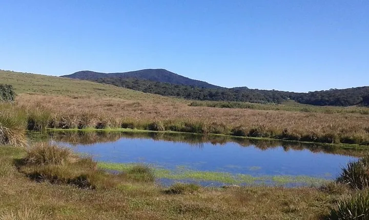 Visit Horton Plains National Park.