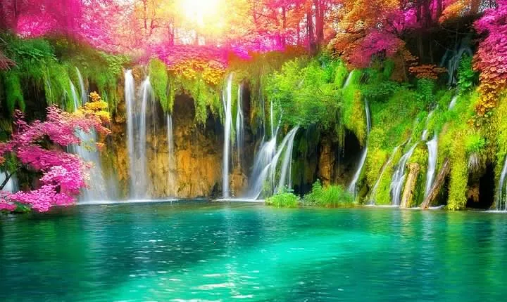 From Zadar: Full Day Private Tour to Plitvice Lakes National Park