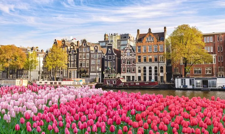 Private transfer from Paris to Amsterdam, English speaking driver