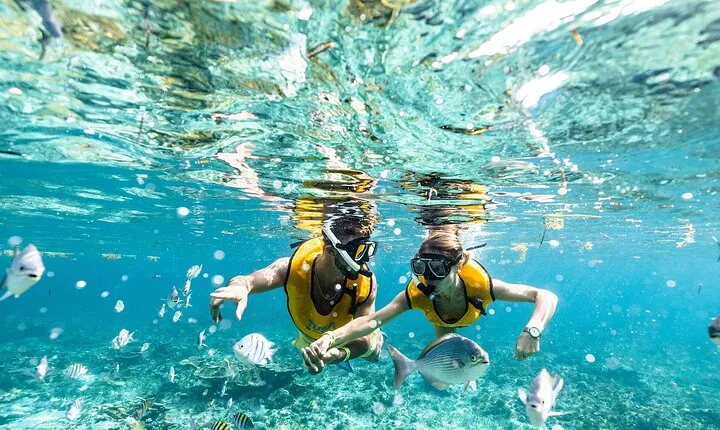 Reef and Shipwreck Snorkeling Tour in Cancun