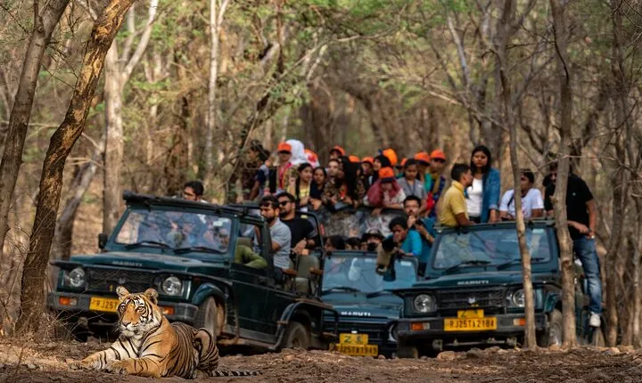 8 - Day Golden Triangle Tour With Ranthambore Tiger Safari From Delhi.