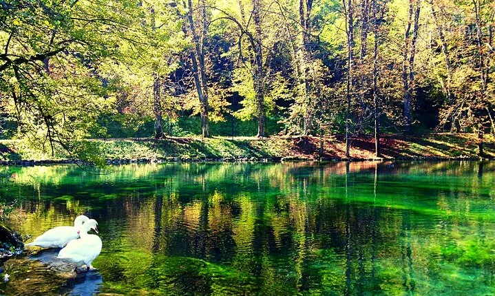 Bijambare Cave & Bosnia Spring Park: Half-Day Tour from Sarajevo