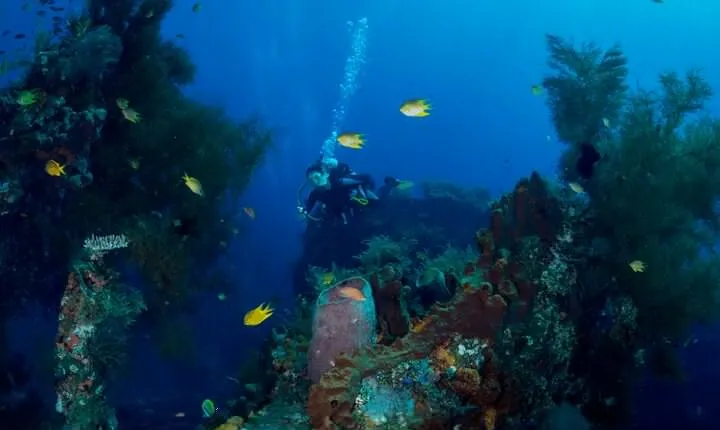 Bali: Tulamben Scuba Diving at USS Liberty Shipwreck
