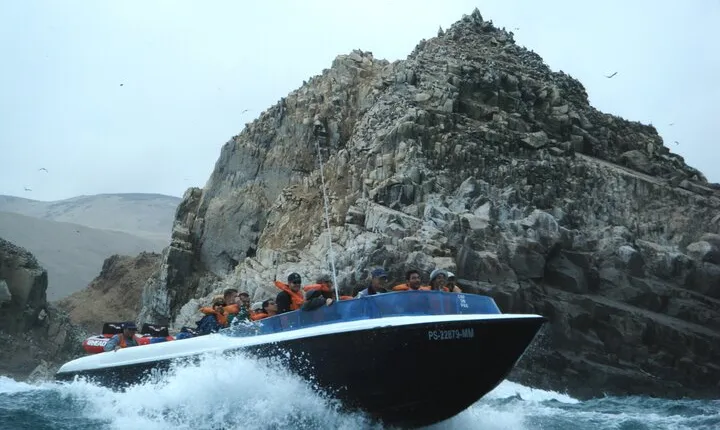 Palomino Islands Sea Lion Swimming Tour