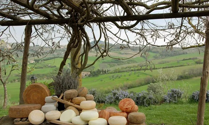 Pecorino Cheese di Pienza Tour