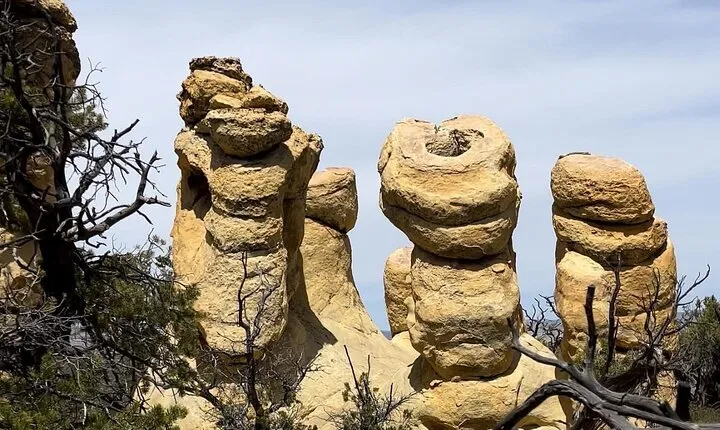 Grand Staircase Full-Day Private Tour