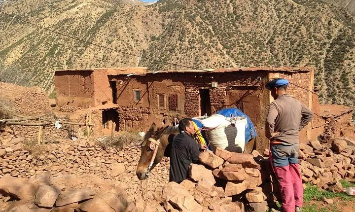 discover the Atlas Mountains and its waterfall, half day tour