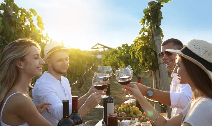Tuscany: Chianti Semi-Private Wine Tasting and Dinner in Vineyard