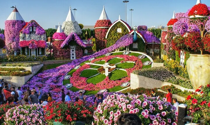 Dubai Miracle Garden Skip the Line E Ticket