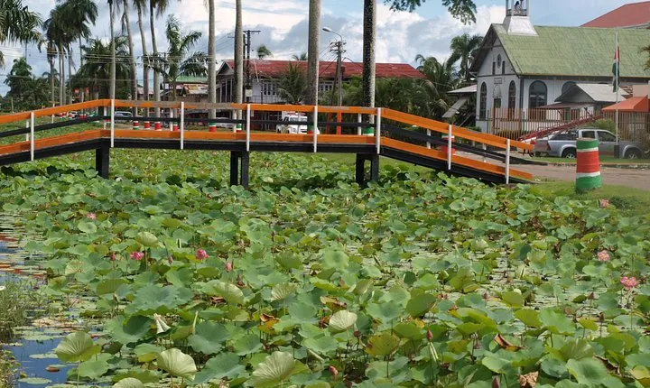 2-Day Tour Nickerie with a Boat Trip in Bigipan