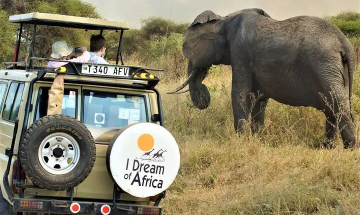 10-Day Amazing Comfort Camping Safari