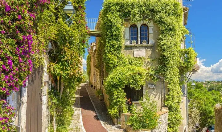 Wine Tasting, Provencal Market, Cannes and St Paul de Vence