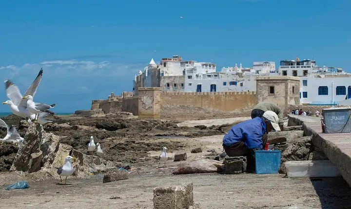 Full Day Trip Marrakech to Essaouira - Morocco !
