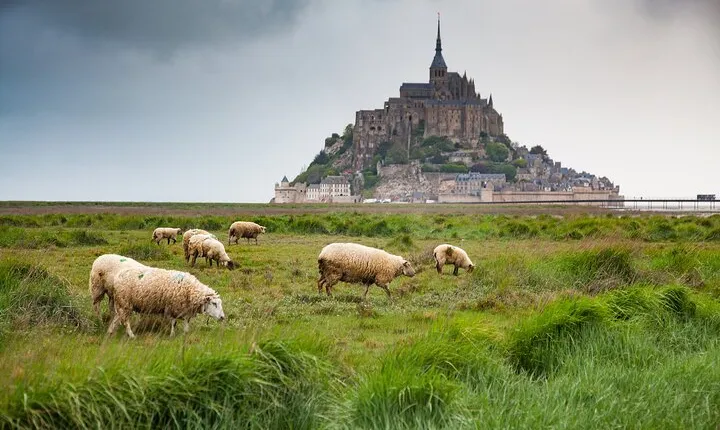Private and Enchanted Escape to Mont-Saint-Michel from Le Havre