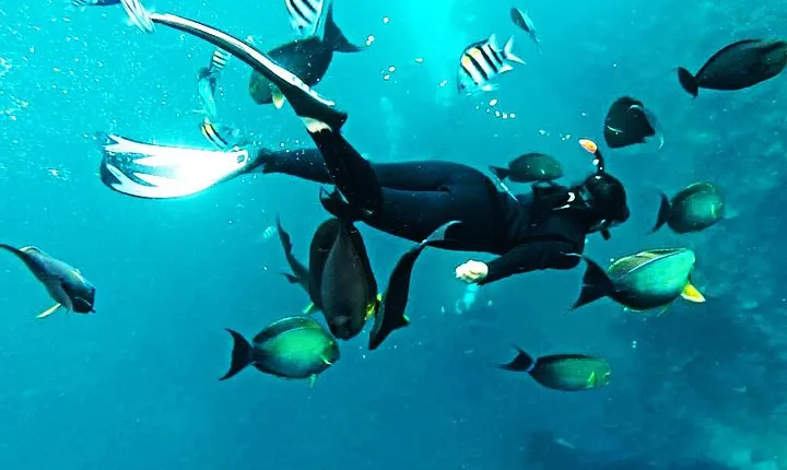 Snorkeling Package at Tulamben Liberty Shipwreck