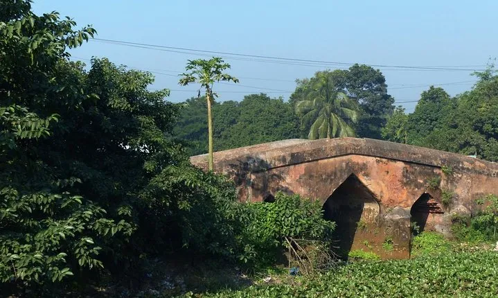 Private Tour: Sonargaon Full-day Sightseeing Tour; The Ancient Capital