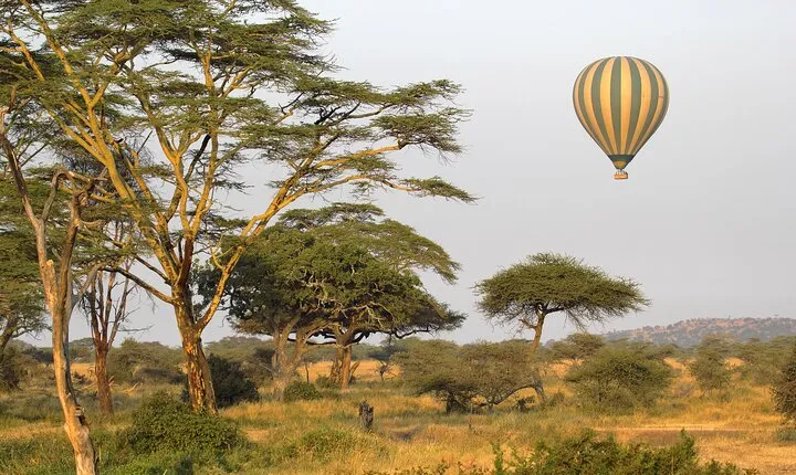 Affordable 3-Day Safari to Serengeti & Ngorongoro Crater