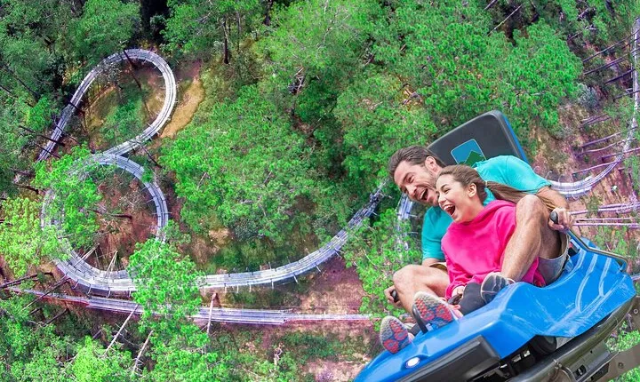 Datanla New Alpine Coaster Experience Pass in Vietnam