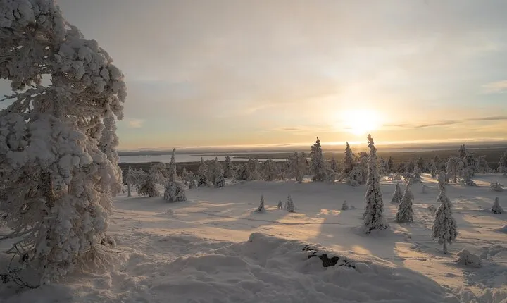 Riisitunturi Guided Hike with Photography