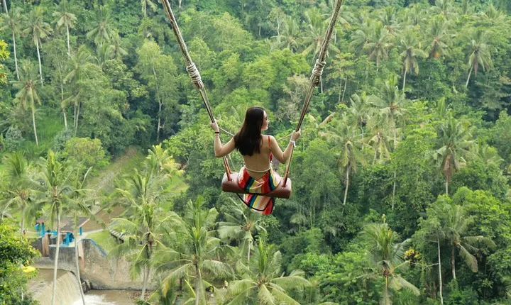 Ubud Private Tours with Jungle Swing Experience - all inclusive
