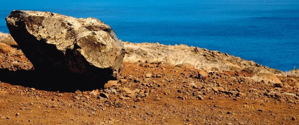 Desertas Island Tour