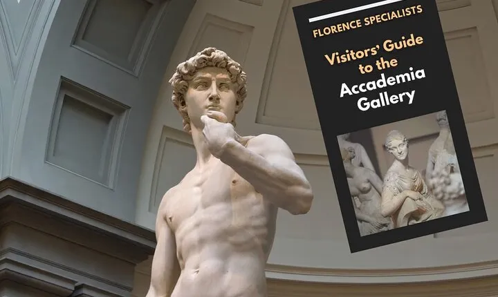 Skip the Line: Accademia Gallery Priority Entry Ticket with eBook