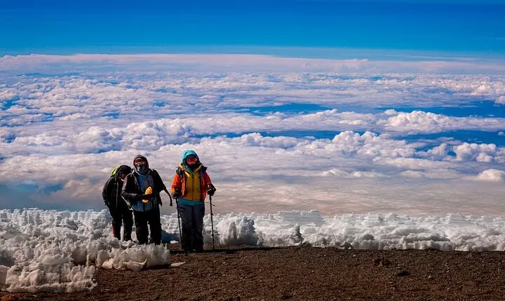 6 Day Private Kilimanjaro Climbing Via Shira Route