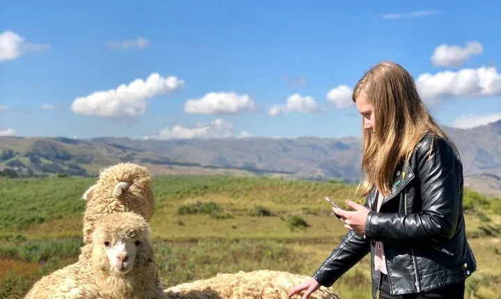 Half day Acclimatization Hike with Llamas and Alpacas in Cusco