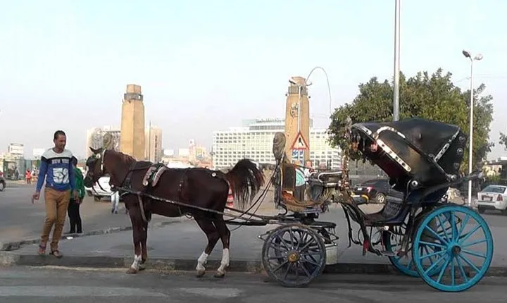 Private Cairo By Night And Walking Tours In Cairo