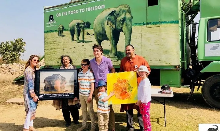 Half-Day Private Sightseeing tour to Wildlife SOS from Agra