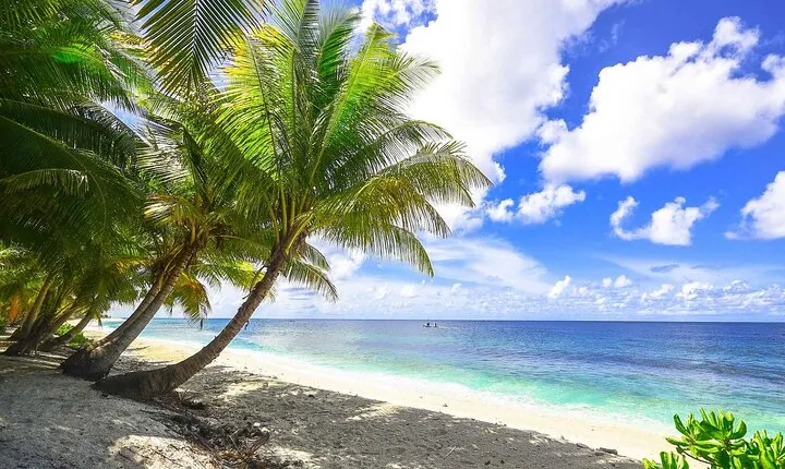 5 islands tour with Lunch Snorkeling and Plankton