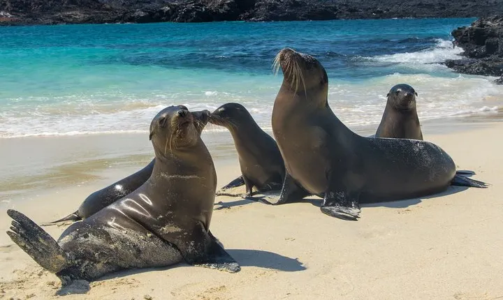 The Best of Ecuador & Galapagos 12 Days / 11 Nights 