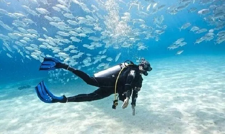 Scuba Diving Trip for Beginners 2 Stops & Lunch - Marsa Alam